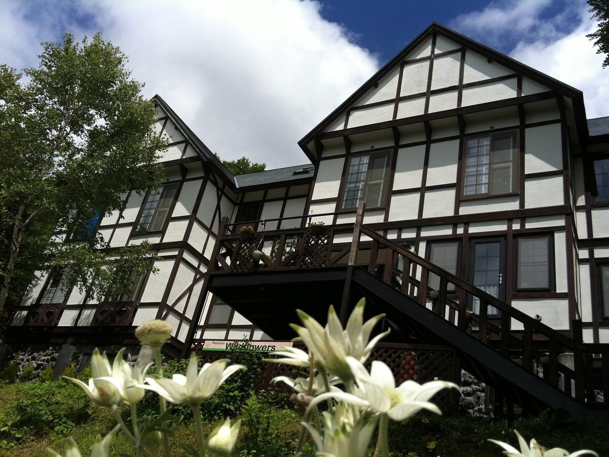 Pension Wildflowers Tateshina  Exterior photo